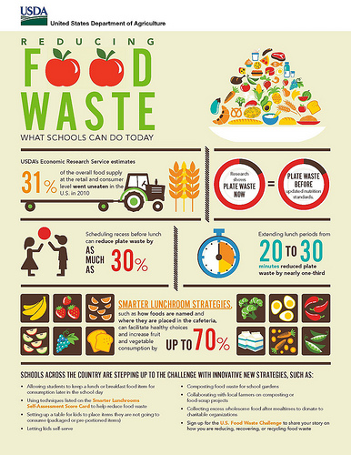 Solutions for Reducing Plastic Waste